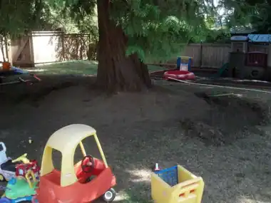 Circular Kids' Bike Track Around a Tree: concrete patio and wall work by Redmond Concrete, concrete contractor serving Redmond (photo 2 of 6)